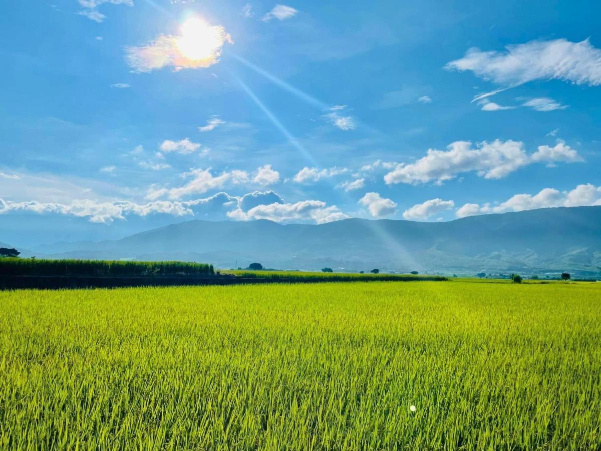 關山稻香田園民宿 Haiduan Bagian luar foto